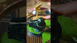 শ্রাবণের চতুর্থ সোমবার শিব পূজা 🕉#viralvideo #plz_subscribe_my_channel