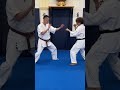 【バリエーション】ヒット率を上げる上段回し蹴り shorts 空手 karate