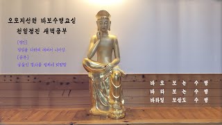 2024.0821.수. 천일정진 새벽공부 (+1126일) - 금강경독송 / 보리달마 오성론(삼독심,삼학도), 고봉원묘묘 선요(참선삼요)