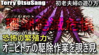 【恐怖の繁殖力】オニヒトデの駆除作業を覗き見