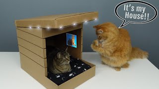 Modern Cardboard Cat House 😻 - DIY Crafts