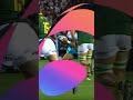 Why Scott Cummings Was Yellow/Red Carded Not Rory Darge - Scotland vs Springboks Test, Murrayfield