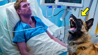 Dog Is About To Say Goodbye To Its Dying Owner, But It Sees Something STRANGE & Stops The Doctor!