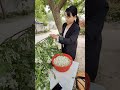 野花就是比家花香。不但香，而且还是纯天然无公害 纯天然绿色食品 又是一年槐花香