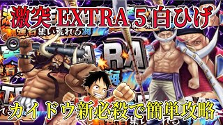 【サウスト】カイドウ新必殺威力すごっ！白ひげ、ヤマトない場合はカイドウお勧め(激突EXTRA5)