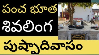 Unveiling The Sacred Ritual Of Shiva Linga Pratista On Pushapadivasam