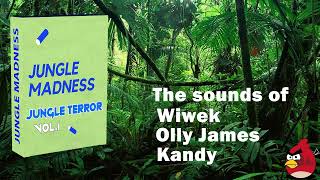 JUNGLE MADNESS VOL.1 I by the sounds of Wiwek, Olly James, Kandy (Jungle Terror Sample Pack)