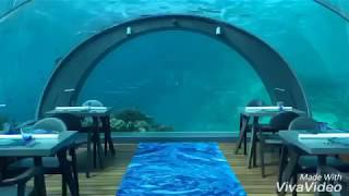 Hurawalhi Island Resort Maldives 馬爾地夫 -  凱仕旅行社Yoyo Travel