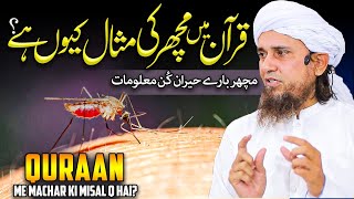 Quran me Allah Machar Ki Misal Q Dyty Hain? Facts about Mosquito - Mufti Tariq Masood - Islam Call