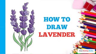 How to Draw Lavender in a Few Easy Steps: Drawing Tutorial for Beginner Artists