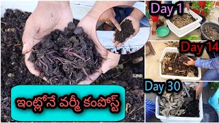 How to make Vermi compost with full details ఇంట్లోనే వానపాముల ఎరువు చేశాను #compost #vermiCompost