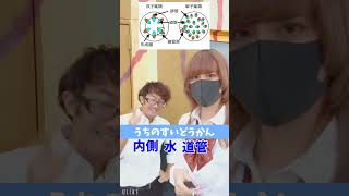 【生物③】うちのすいどうかんってなんだっけ？ #語呂合わせ