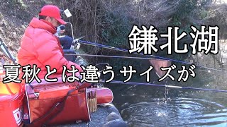 『鎌北湖』　マブに好かれるかずおさん