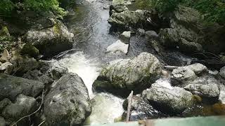 Auf dem Albsteig Schwarzwald wandern! (jungwandern.de)