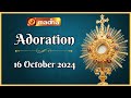 🔴 LIVE 16 October 2024 Adoration 11:00 AM | Madha TV