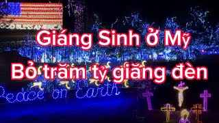 Đi tham quan đèn Giáng Sinh giăng cả khu rừng ở Mỹ.