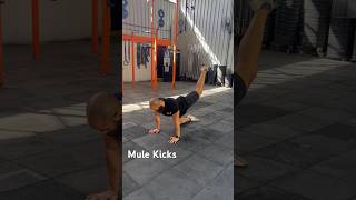 How to Mule Kicks