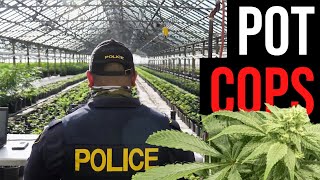 Weeding out the mob: Policing pot even where it's now legal