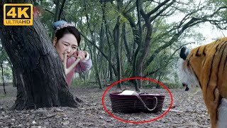 Đứa Bé Sinh Ra Bị Bỏ Rơi Trong Rừng, Không Ngờ Lớn Lên Lại Trở Thành Nhân Tài Của Đất Nước | Phim 4K