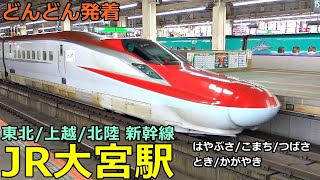 JR大宮駅 (新幹線)🚃どんどん電車が発着！●はやぶさ、こまち、つばさ、とき、やまびこ、かがやき 等（東北・北海道・秋田・山形・上越・北陸新幹線）【JR東日本】