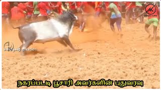 நகரப்பட்டி பூசாரி அவர்களின் புதுவரவு