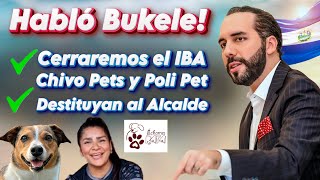 Nayib Bukele CIERRA INSTITUCIONES en el caso del REFUGIO EN ILOPANGO 🔴🐶 pide destitución del ALCALDE