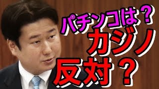 【和田政宗・自由民主党】カジノ反対参考人に質問！『パチンコはギャンブルじゃないの？』ｗ最新の面白国会中継【スピカの国会中継CH】