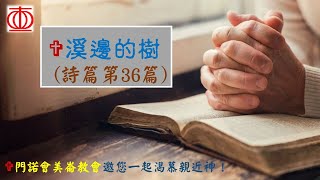 溪邊的樹～詩篇第36篇