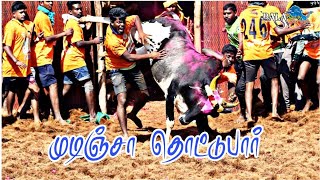 உம்பளச்சேரி சிங்கம் என்ன ஒரு ஆட்டம்... கதிர்