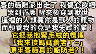 養的貓離家出走了 我傷心欲絕哭到昏厥 醒來後穿到獸世這裡的人類竟然是獸人的寵物而領養我的竟是我失蹤的貓！ #書林小說 #重生 #爽文 #情感故事 #唯美频道