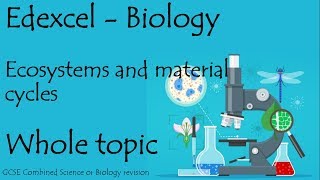 The whole of ECOSYSTEMS. Edexcel 9-1 GCSE Biology or combined science revision paper 2