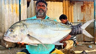 KASIMEDU 🔥 MINNAL RAJA | BIG TREVALLY FISH CUTTING VIDEO | IN KASIMEDU | FF CUTTING 🔪