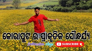 koraput natural view || କୋରାପୁଟ ର ପ୍ରାକୃତିକ ସୌନ୍ଧର୍ଯ୍ୟ ||#koraput #odisha #natural #srikrushnavlogs