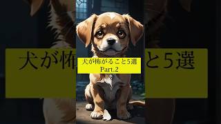 犬が怖がること5選 Part.2 #犬の雑学 #犬のいる暮らし #犬のいる生活 #犬