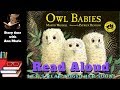 Owl Babies ~ READ ALOUD| Story time with Ann Marie