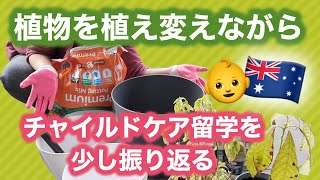 私がオーストラリアで２年間勉強した事と我家の植物について｜アボカド栽培とチャイルドケア留学