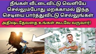 வீட்டைவிட்டு வெளியே செல்லும்போது இந்த செடியை பார்த்துவிட்டு செல்லுங்கள் அதிஷ்டதேவதை கூடவே வருவார்!