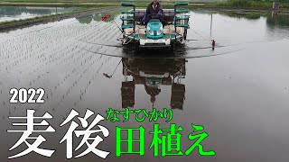 【2022】麦後田植え。＜クボタ田植機NSD8＞