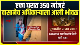 Pune Pet Cat : पुण्यातील अजब प्रकार, महिलेच्या घरात तब्बल 350 मांजरी