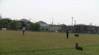 20100505　ＯＰＤＥＳオビディエンス競技会　ビギナーデビュー戦