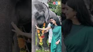 ആനയൂട്ടി നൈല ഉഷ | Nyla Usha #shorts