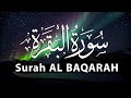 Surah Al Baqarah Full | Quran for Sleeping [ Soothing Recitation of Surah Al Baqarah for Sleep ]