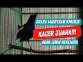 KICAU MASTERAN KACER CALON JUARA!!!