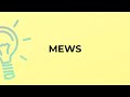 What is the meaning of the word MEWS?