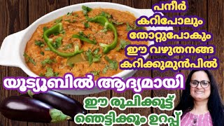 വഴുതനങ്ങ ഉണ്ടോ ഇതുപോലെ തയ്യാറാക്കൂ |Variety Brinjal Curry |Eggplant Curry |Vazhuthananga Curry