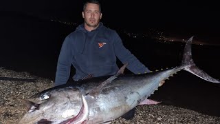 50KG BLUEFIN TUNA LANDBASED - Live strike Shore jigging with Zenaq