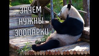 Зачем нужны ЗООПАРКИ | Животные в зоопарке