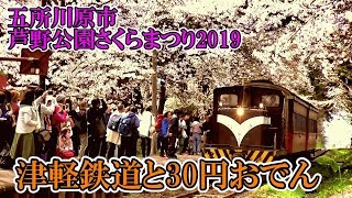 五所川原市【芦野公園さくらまつり2019】津軽鉄道と激安30円のカレー生姜味噌おでん Ashino park cherry tree festival