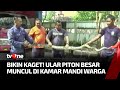 Ada Ular di Kamar Mandi, Pemilik Rumah Melarikan Diri | Sidik Jari tvOne