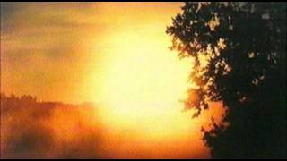 Boards of Canada - Blueberry